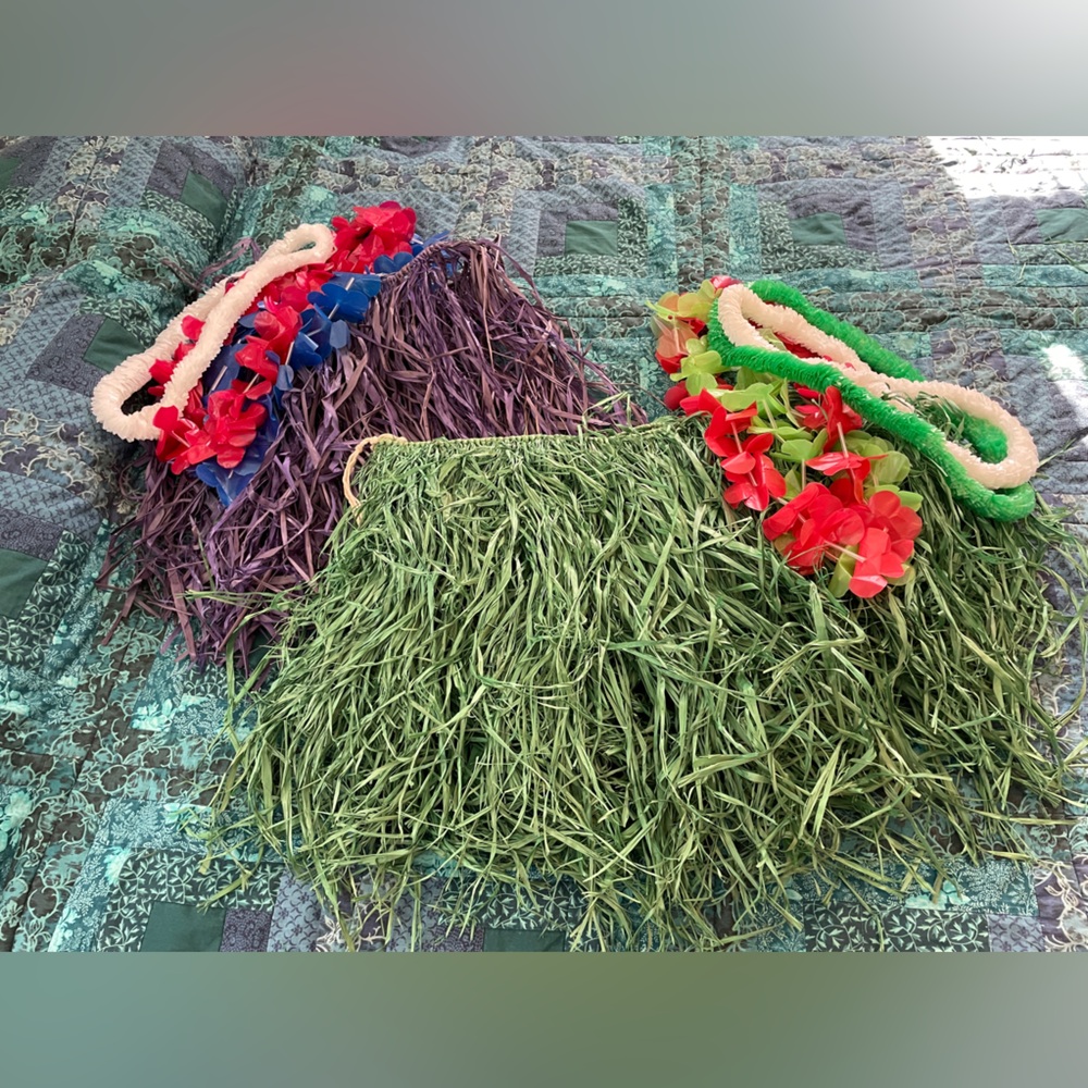 Grass Skirts (three) and Leis (seven)